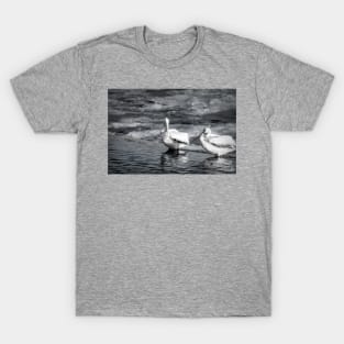 Early Morning American White Pelicans in Black and White by Debra Martz T-Shirt